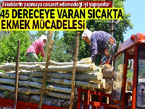 Aydın'daki keresteci kadınların ekmek mücadelesi