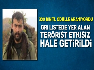 Gri listede yer alan terörist etkisiz hale getirildi