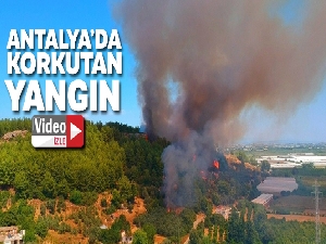 Antalya'da antik kent yakınında orman yangını