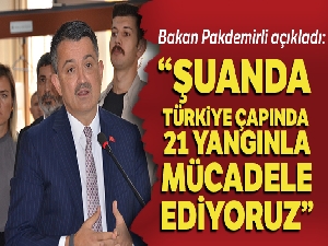 Bakan Pakdemirli'den yangınlara ilişkin açıklama