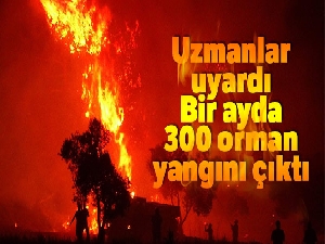 Bir ayda 300 orman yangını çıktı...Uzmanlar uyardı