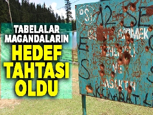 Tabelalar magandaların hedef tahtası oldu
