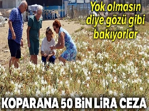 Yok olmasın diye gözü gibi bakıyorlar