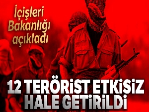 İçişleri Bakanlığı: '12 terörist etkisiz hale getirildi'