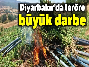 Diyarbakır'da teröre büyük darbe: 6 milyon kök keneviri ele geçirildi