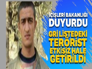 MİT-Jandarma ortak operasyonuyla Gri Liste'deki terörist öldürüldü