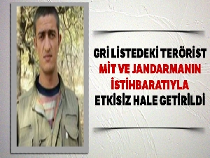 Gri listedeki terörist, MİT ve Jandarmanın istihbaratıyla etkisiz hale getirildi