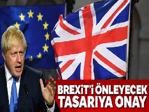 Lordlar Kamarası ‘anlaşmasız Brexit'in önüne geçen yasa tasarısını onayladı
