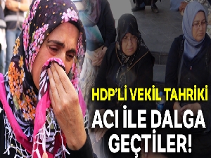 HDP'li vekil tahriki! Acı ile dalga geçtiler...