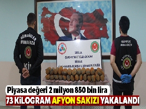 Gürbulak'ta 73 kilogram Afyon sakızı yakalandı