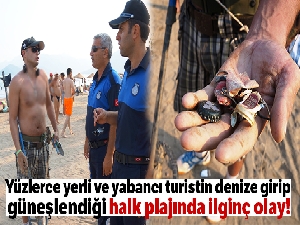 Rus turist güpegündüz plajda define aradı