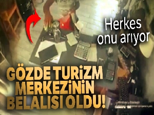 Bahşiş kutusu faresi, gözde turizm merkezinin belalısı oldu