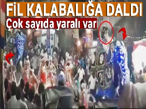 Sri Lanka'da fil kalabalığa daldı: 17 yaralı