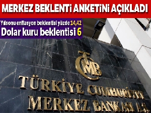 Merkez, beklenti anketini açıkladı