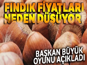 Bayraktar, fındık fiyatının düşüş nedenlerini açıkladı