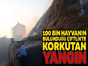 100 bin büyükbaş hayvanın bulunduğu besi çiftliğinde korkutan yangın