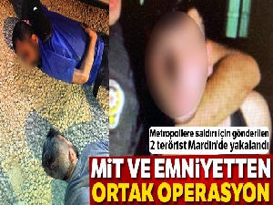 Metropollere saldırı için gönderilen 2 terörist Mardin'de yakalandı
