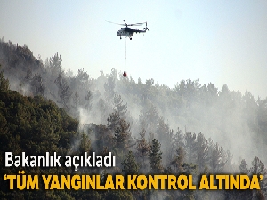 Tarım ve Orman Bakanlığı: 'Ülke genelinde çıkan yangınlar kontrol altında'