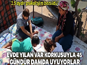 'Evde yılan var' korkusuyla 45 gündür damda uyuyorlar