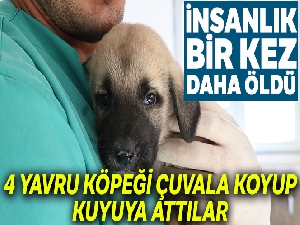 Yavru 4 köpeği çuvala koyup kuyuya attılar