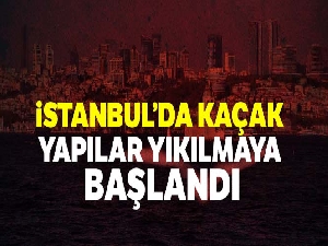İstanbul'da devlet ormanlarına yapılan kaçak yapıların yıkımına başlandı