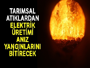 Tarımsal atıklardan elektrik üretimi anız yangınlarını bitirecek