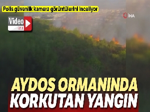 Aydos ormanında korkutan yangın
