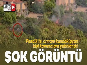 Aydos Ormanı'nda yangının çıkış anı kamerada