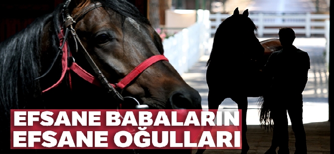 ÖZET İZLE: Yeni Malatya 1-1 Galatasaray Maçı Özeti ve Golleri İzle | Yeni Malatya Galatasaray kaç kaç bitti?