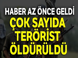 Şırnak'ta terör operasyonu, 9 terörist etkisiz hale getirildi