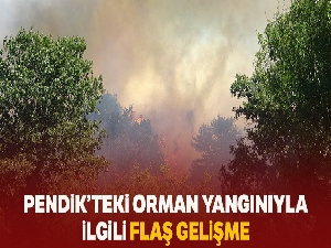 Pendik'te orman yakan zanlı tutuklandı