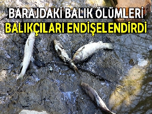 Barajdaki balık ölümleri balıkçıları endişelendirdi
