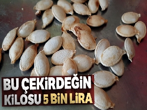 Bu çekirdeğin kilosu 5 bin lira