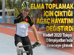 Elma toplamak için çıktığı ağaç hayatını değiştirdi