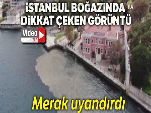 İstanbul Boğazı'nda dikkat çeken görüntü