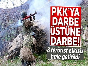 Bakanlık açıkladı! Siirt'teki operasyonlarda 8 terörist etkisiz hale getirildi