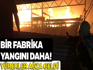 Manisa'da fabrika yangını