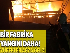 Binasını güçlendirene 50 bin lira faiz desteği