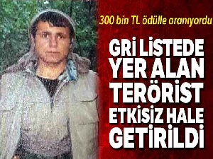 Siirt'te etkisiz hale getirilen 5 teröristten biri Gri Liste'de