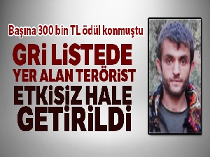 Gri listede yer alan bir terörist daha etkisiz hale getirildi