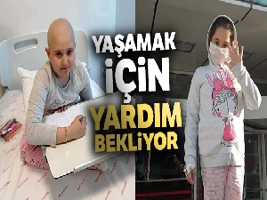Küçük Ravza'nın yaşaması için yardım bekleniyor