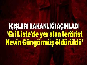 İçişleri Bakanlığı: 'Gri Liste'de yer alan terörist Nevin Güngörmüş öldürüldü'