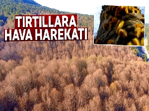 Tırtıllara hava harekâtı
