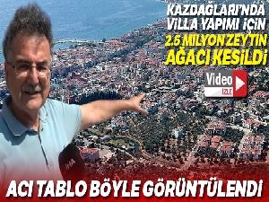 Kazdağları'nda villa yapımı için 2,5 milyon zeytin ağacı kesildi, acı tablo havadan görüntülendi