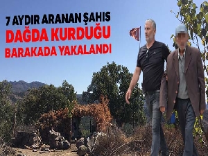 7 aydır aranan şahıs dağda kurduğu barakada yakalandı