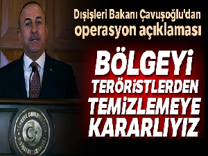 Dışişleri Bakanı Çavuşoğlu'dan operasyon açıklaması