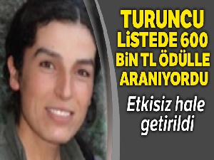 PKK'nın elebaşı Karayılan'ın yanındaydı, o kadın terörist öldürüldü