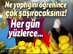 Komşusuna zarar vermek için kavunlarını bıçakladı