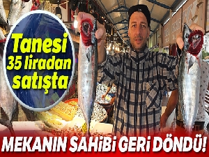 Marmara'nın ilk palamutları tezgahlardaki yerini aldı