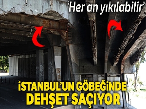 İstanbul'un göbeğinde dehşet saçıyor